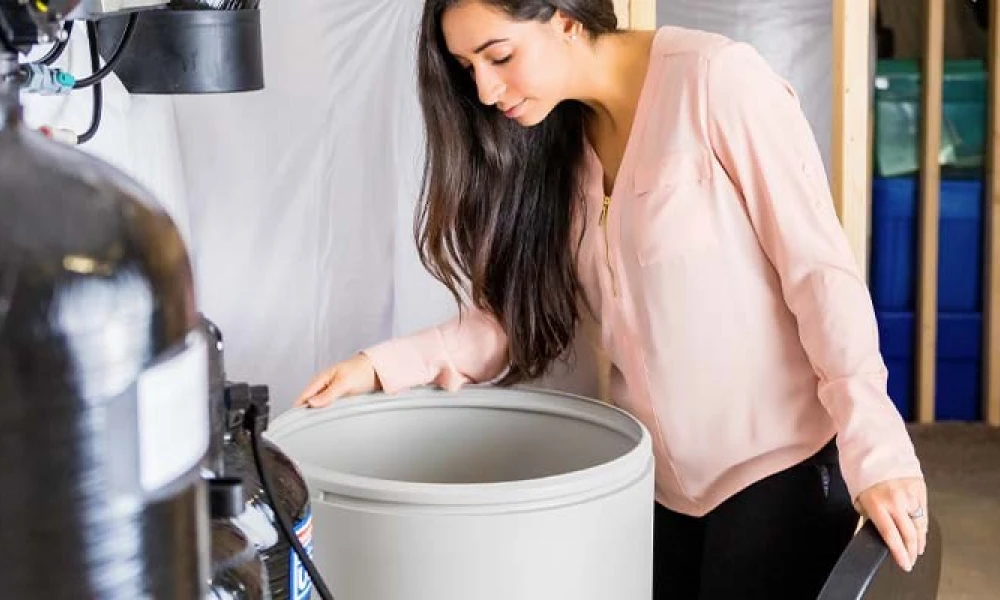 Homeowner checking water treatment equipment